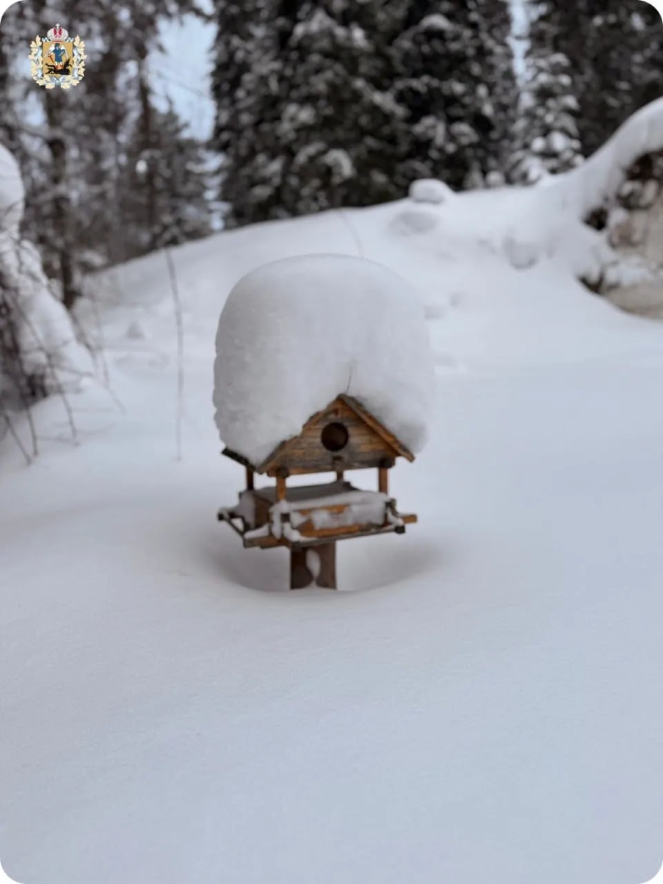 Весна в Архангельской области постепенно вступает в свои права Весна в Архангельской области постепенно вступает в свои права