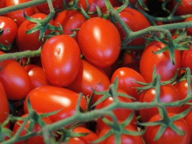 ������ ��������� �����: ��� ���� �������� ��������� �������� ������