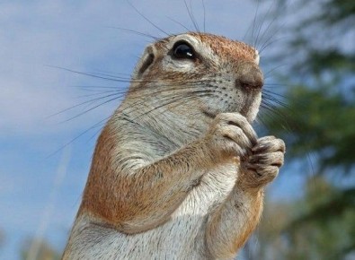 ���������� ������������ ��� ���������� �� ������