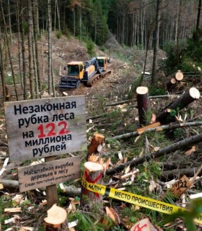 ������� � �������� ���� �������� ���� �� ���������� ���� � ���������� ����� ������ ���������� � ����� ������� �������