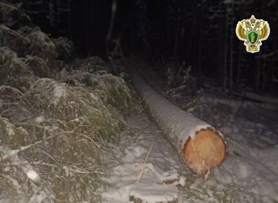 � �������� ������� �������� �� ���������� ���� � ���������� ������ �� ��������������