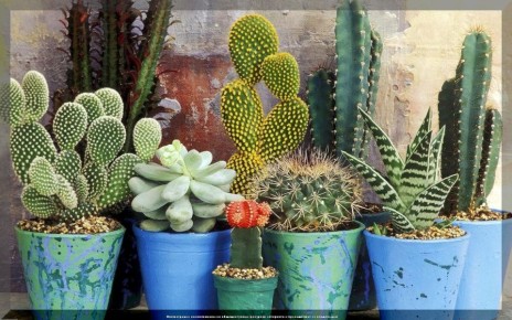 ������� ��������� �������� ��� ������� ������