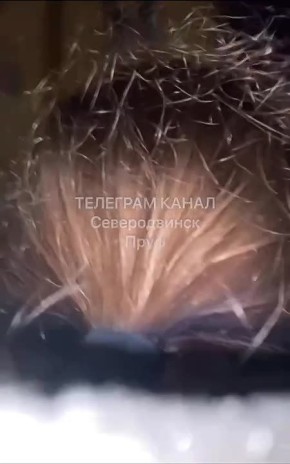 � ������������� ��-�� ������������ ��������������� ��������� ����� � �������� ������ ����