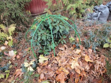 ������������ ������ �������: ������� �������������