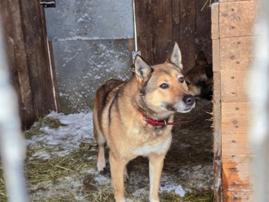 Такой взгляд заменит тысячи слов