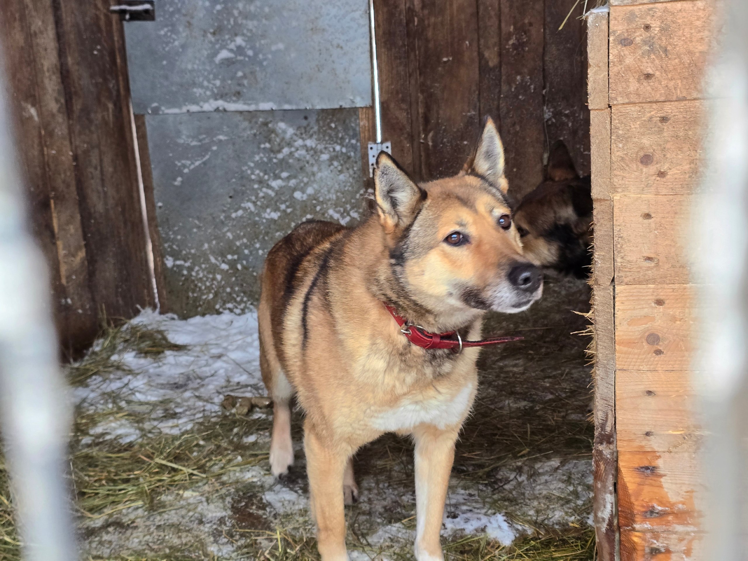 Такой взгляд заменит тысячи слов