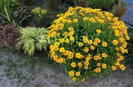 ���������: ��������� ������ ��� ������ ����