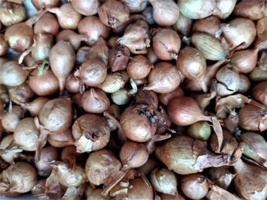 ������ ��� ��� ����������� � ��� ����� ��������