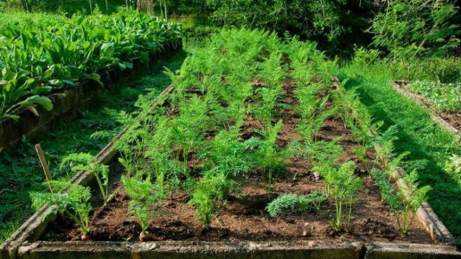 ����������� ������ ������������� �������: ��� ���������� �� �������� �� ����� �����