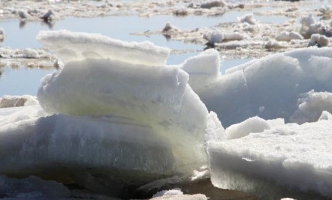 Весна в этом году торопится