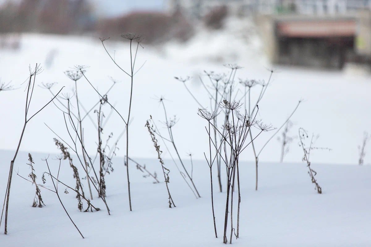 Доброе утро, регион!. Сегодня суббота, 21 марта