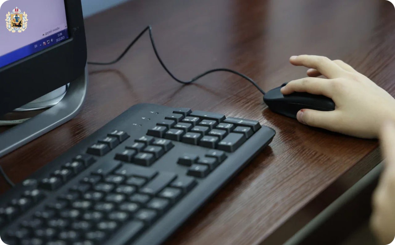 Школьники Поморья станут участниками нового сезона проекта «Цифровой ликбез»