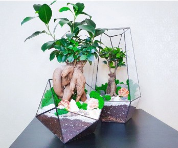 ��� ������ � ������� ������ ����� ������� �� �����