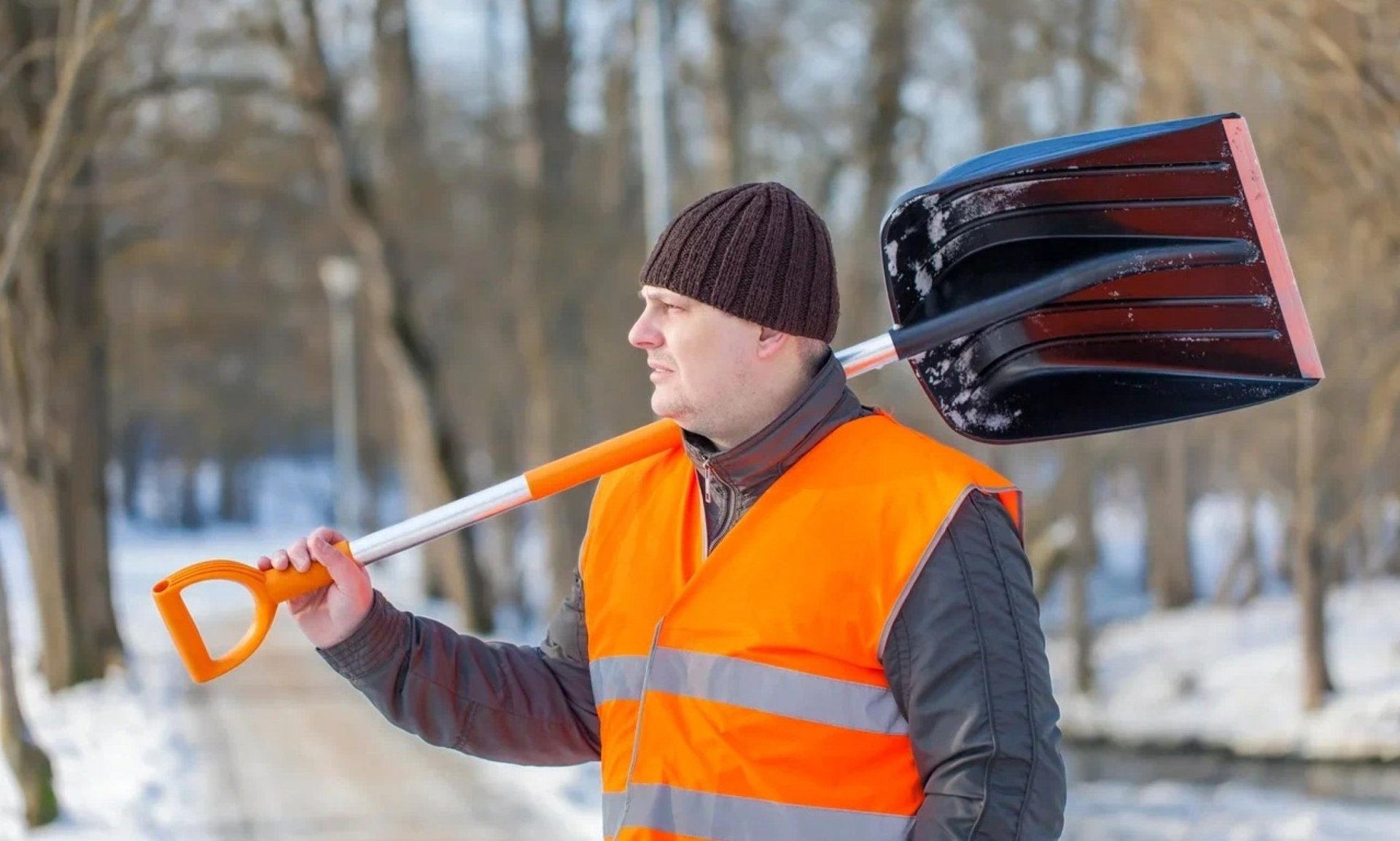 Какие новости «Региона 29» привлекли внимание читателей на уходящей неделе? Вот топ новостей: Какие новости «Региона 29» привлекли внимание читателей на уходящей неделе? Вот топ новостей: