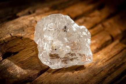 �� ������������� � ������� ����� ���������� ����� ����� 56 �����: