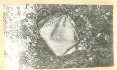 � ������������� ������� ��������� ������������� ���������� ���� � ��������� �������, ����������� � ��������, ����������� � 1977 ����