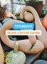 Тыква Тромбон: что нужно знать об этом удивительном сорте