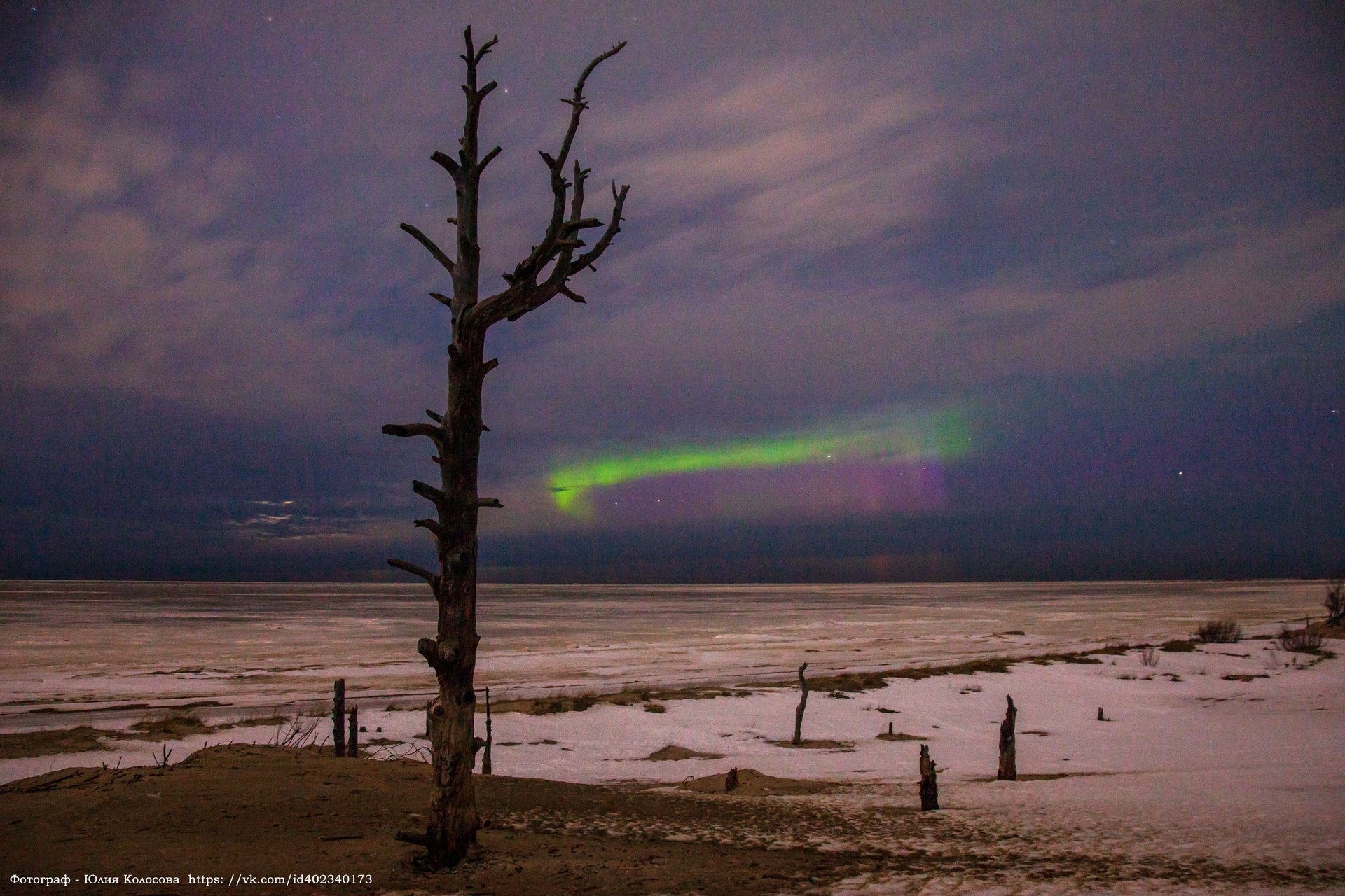 Когда три талантливых человека встречаются ночью на берегу моря, может получиться нечто волшебное Когда три талантливых человека встречаются ночью на берегу моря, может получиться нечто волшебное