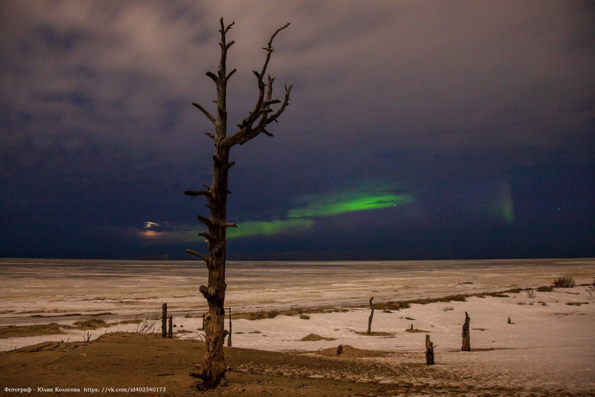 Когда три талантливых человека встречаются ночью на берегу моря, может получиться нечто волшебное Когда три талантливых человека встречаются ночью на берегу моря, может получиться нечто волшебное