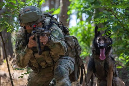 ��������� ����������: ���������� ���� ������ ������ � ��������� ����� ������������ ������� ������ � ���������������� ����������!