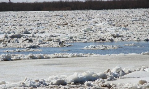 ������� ���������� �� ����� ������������� ������� �� 27 �����