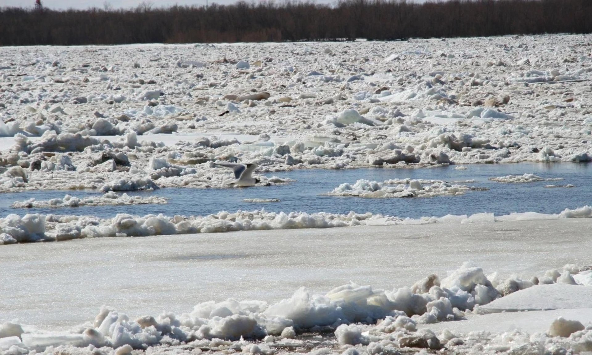 Ледовая обстановка на реках Архангельской области на 27 марта