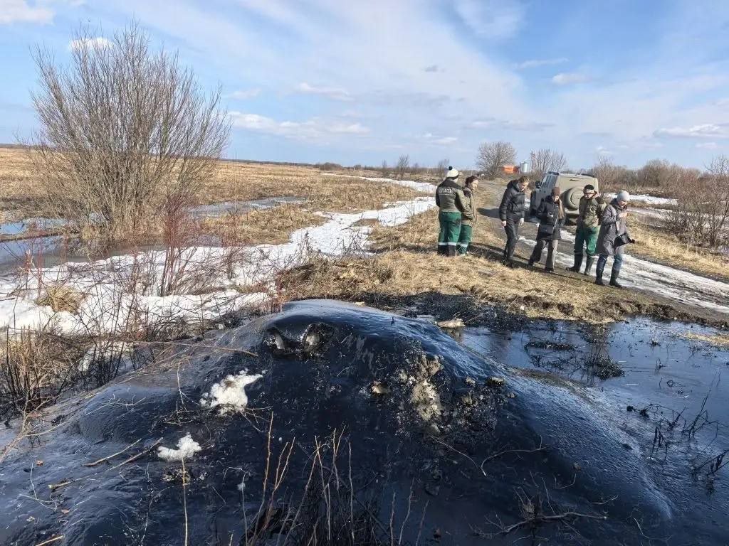 Природоохранная прокуратура начала проверку по факту разлива нефтепродуктов в Повракуле Природоохранная прокуратура начала проверку по факту разлива нефтепродуктов в Повракуле