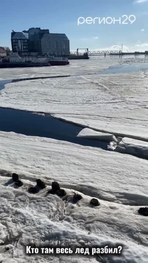 ����� �� ���� �������, �� "��� ���� ��� ���-�� ������"