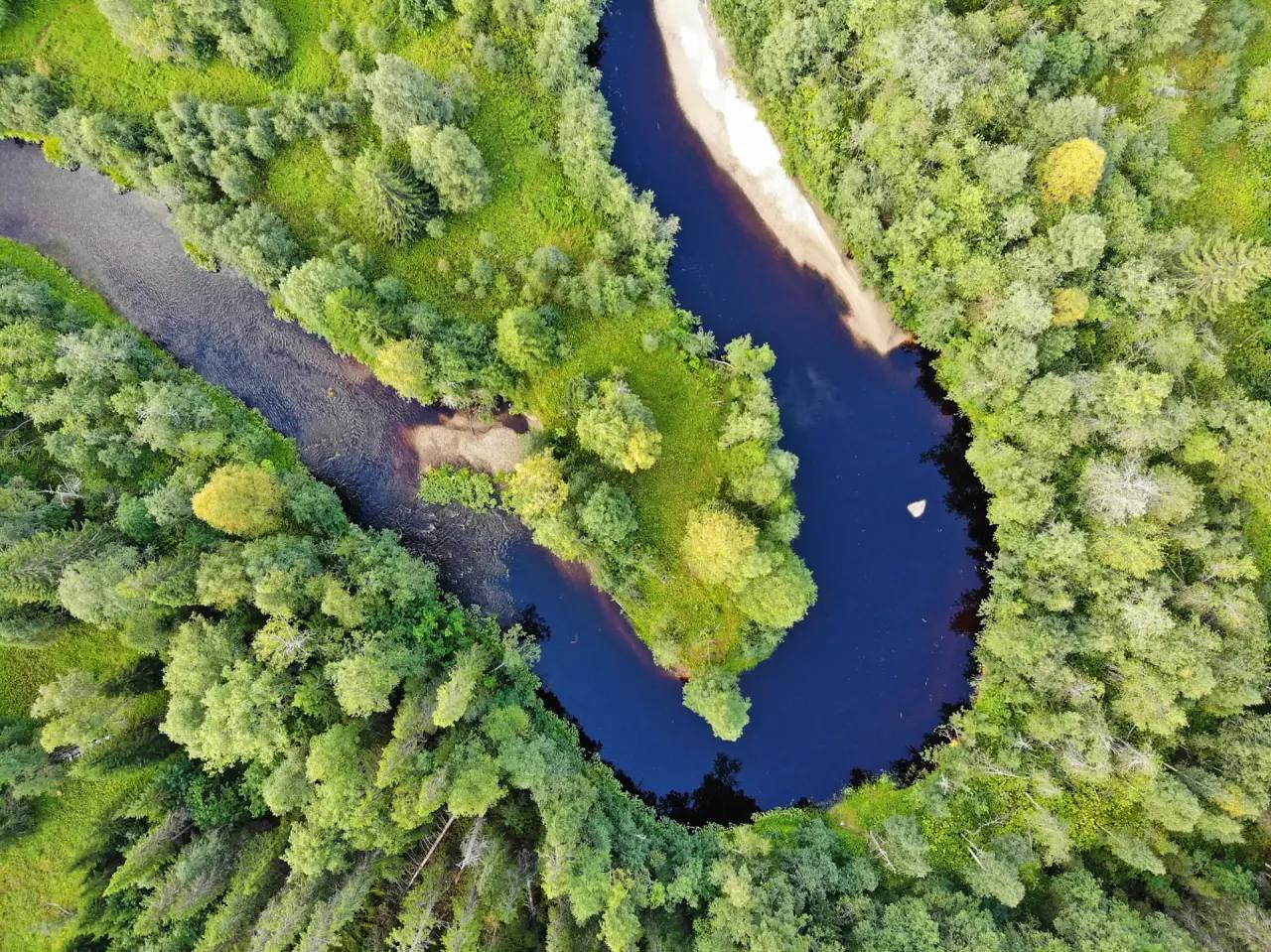 Александр Цыбульский: Сегодня экологический туризм становится естественной частью бережного отношения к природе Александр Цыбульский: Сегодня экологический туризм становится естественной частью бережного отношения к природе