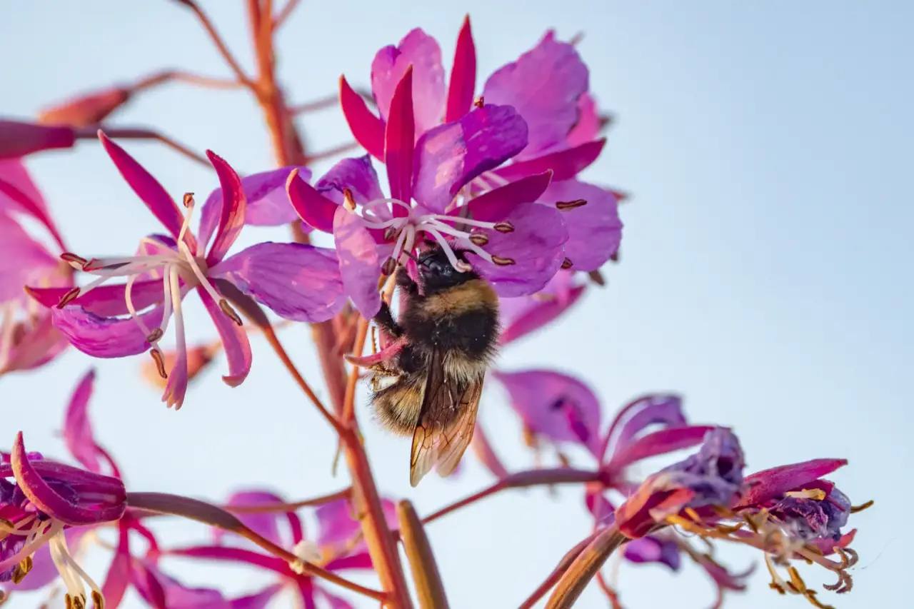 Александр Цыбульский: Сегодня экологический туризм становится естественной частью бережного отношения к природе Александр Цыбульский: Сегодня экологический туризм становится естественной частью бережного отношения к природе