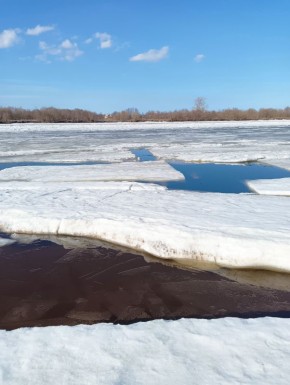 В настоящее время опасных и неблагоприятных явлений на реках Архангельской области не зафиксировано