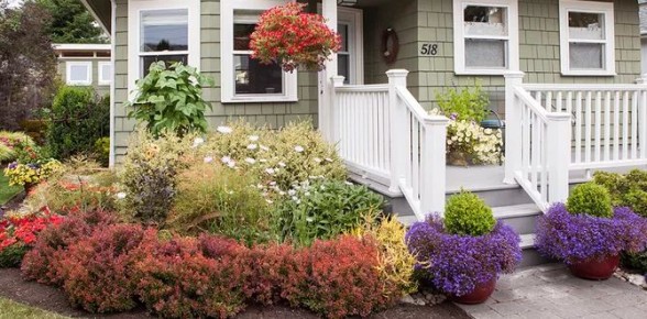 Выбор многолетников с идеальной формой куста для вашего сада