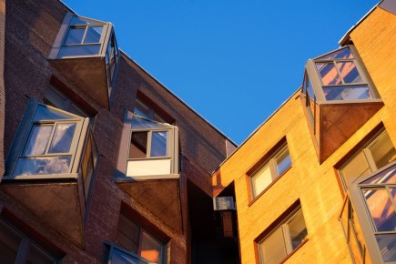 ������ ����, ������!. ����������: ����������