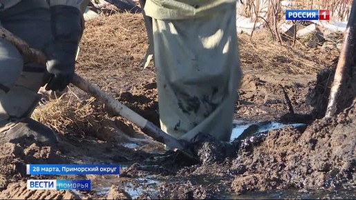 ������ �� ���������� ������� ������������� ����� ������� ������������� ����������� ������ ���������