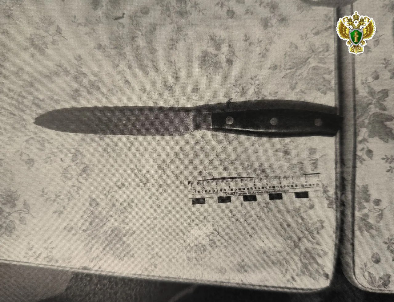 В Северодвинске прокуратура утвердила обвинительное заключение по уголовному делу об убийстве В Северодвинске прокуратура утвердила обвинительное заключение по уголовному делу об убийстве