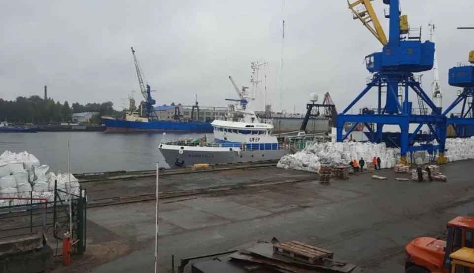 1 Архангельск станет крабовой столицей России