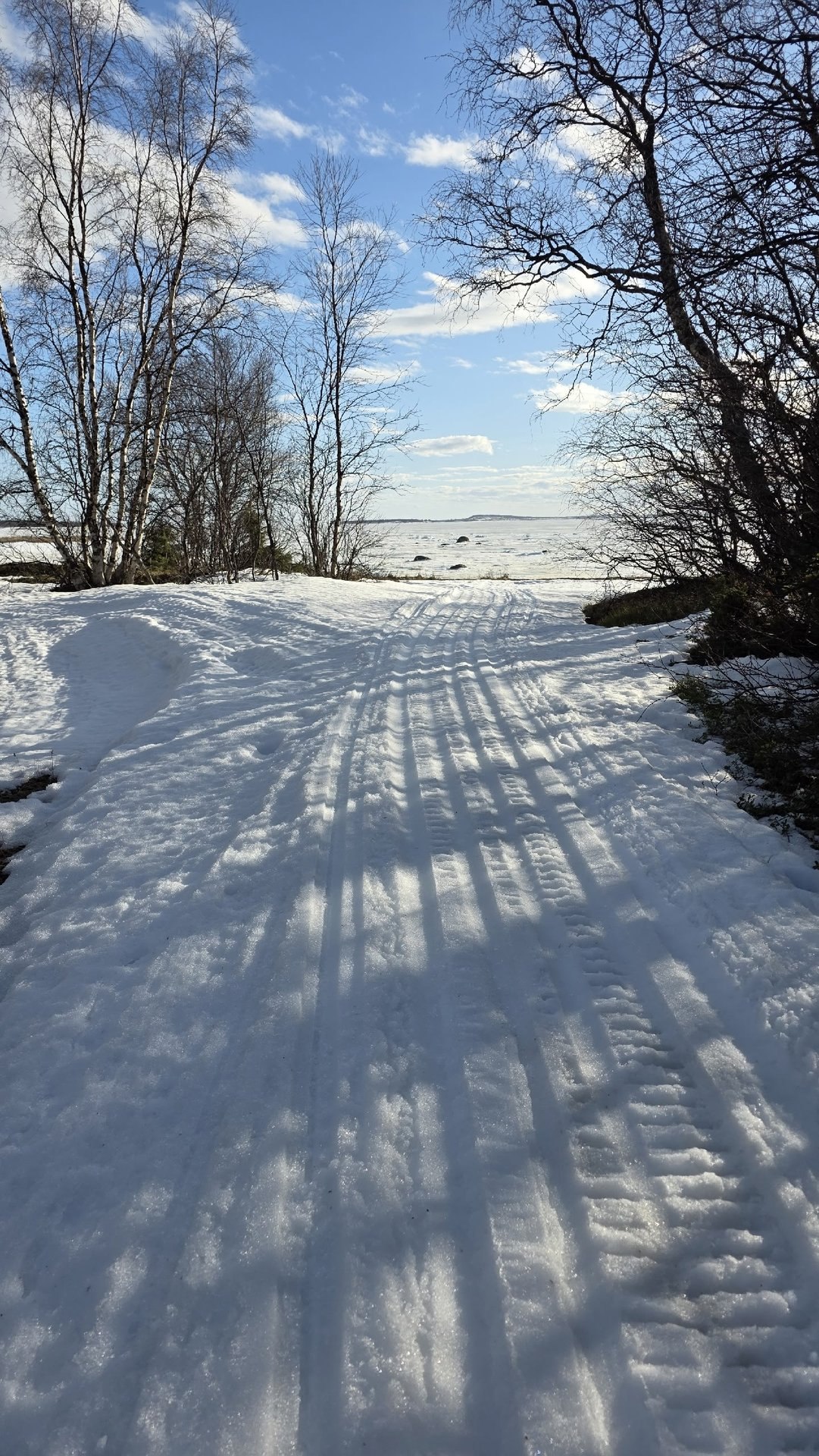 Красивая северная весна!. «Весенние проталины. Мир оживает, наполняясь цветом. После зимы особенно ценна простая радость: лежать у моря на мягком ароматном ковре, чувствовать солнце на лице и слушать далёкие, едва... Красивая северная весна!. «Весенние проталины. Мир оживает, наполняясь цветом. После зимы особенно ценна простая радость: лежать у моря на мягком ароматном ковре, чувствовать солнце на лице и слушать далёкие, едва...