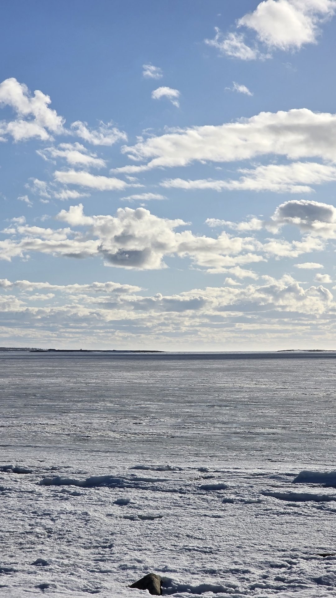 Красивая северная весна!. «Весенние проталины. Мир оживает, наполняясь цветом. После зимы особенно ценна простая радость: лежать у моря на мягком ароматном ковре, чувствовать солнце на лице и слушать далёкие, едва... Красивая северная весна!. «Весенние проталины. Мир оживает, наполняясь цветом. После зимы особенно ценна простая радость: лежать у моря на мягком ароматном ковре, чувствовать солнце на лице и слушать далёкие, едва...