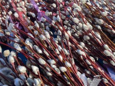 ��� �������� �����: � ������������ ������ ��������� �����