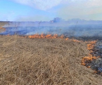Весна пришла — палы травы тоже