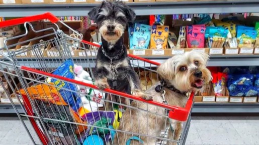 ������ ������ ������ � ������������ ������� ���� �������������� �������