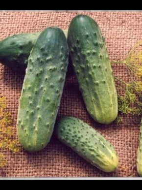 ������ ��������: ������ ������ � ����������� ���������� ��� ������ �������