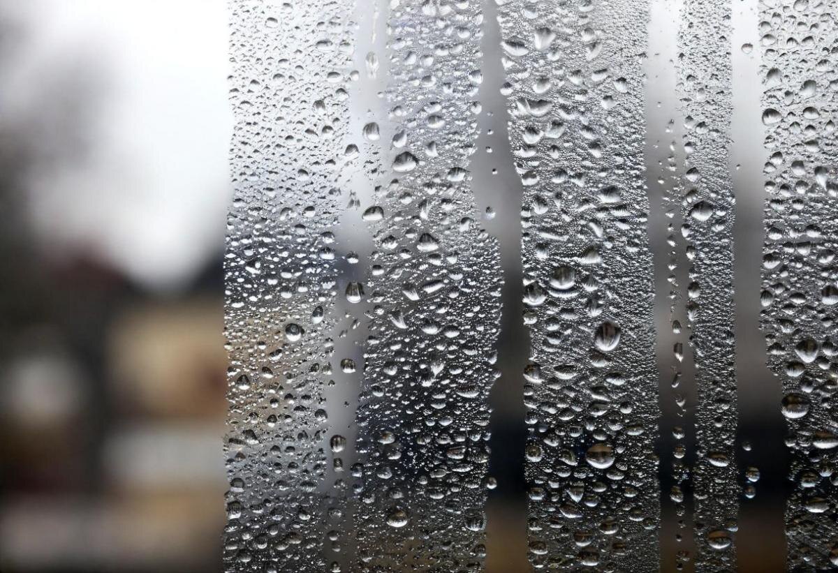 Как сохранить жильё сухим: советы экспертов по борьбе с плесенью и конденсатом