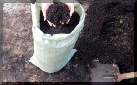 Как правильно заготовить грунт для рассады осенью: советы опытных садоводов