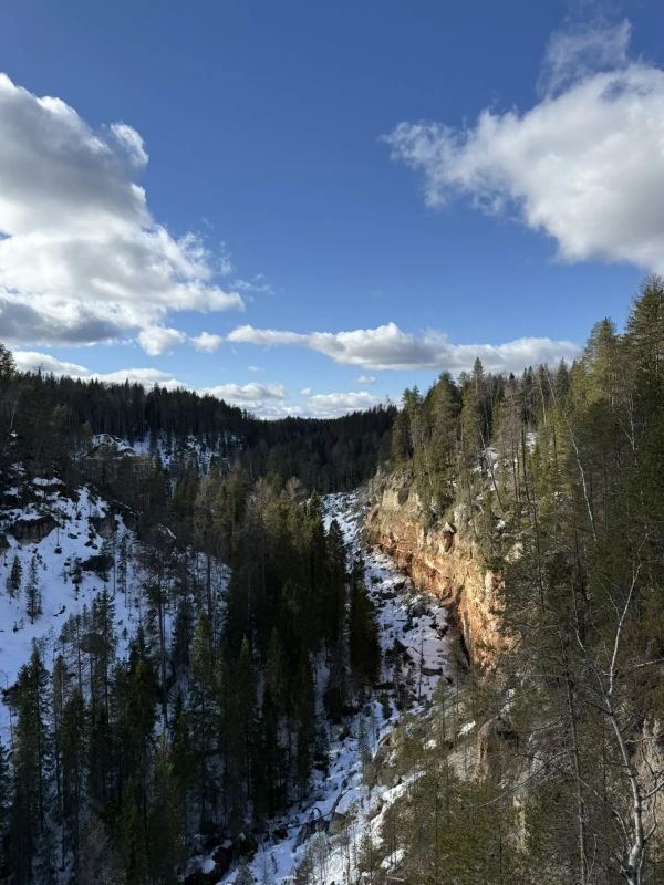 � ������������ ������������� ������� ����������� ����������� �������! ������ �����?