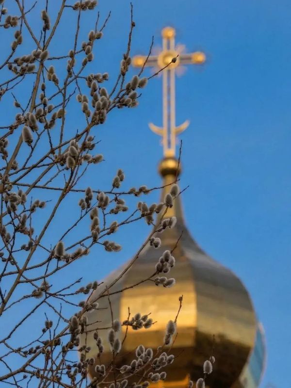 ��������� ����������: ���������� ���� �� ������� ������� ������������!