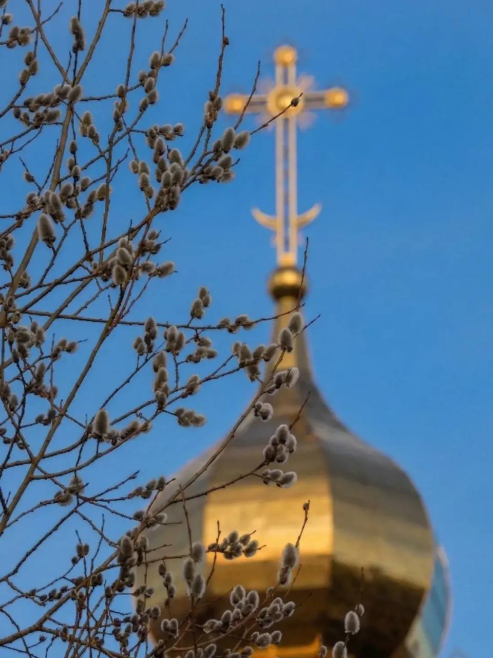 Александр Цыбульский: Поздравляю всех со светлым Вербным воскресеньем!