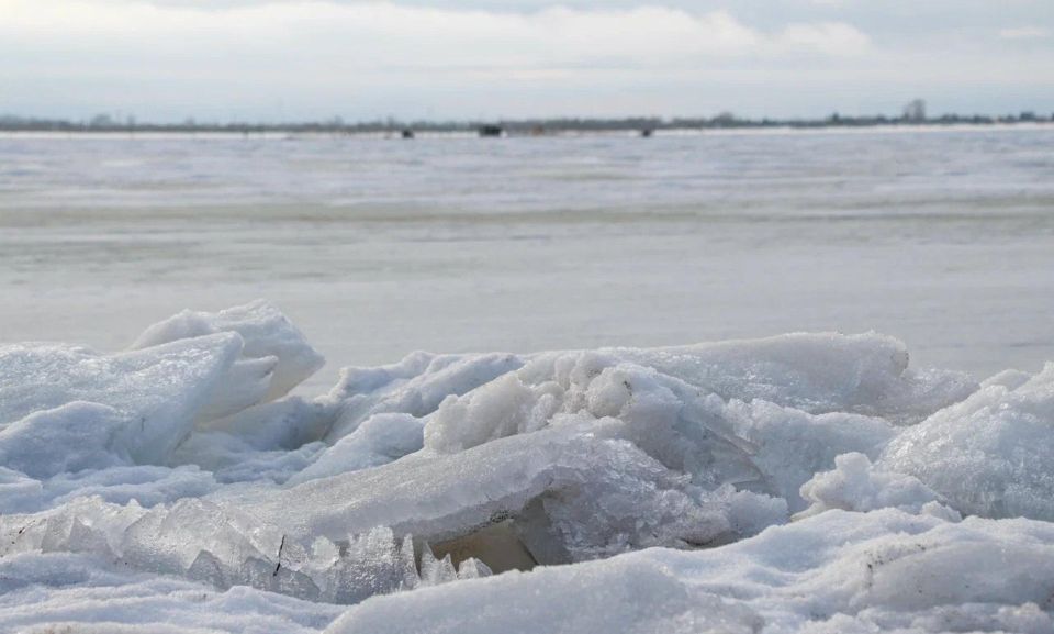 ����� ������� �������� 29� ��������� �������� ��������� �� �������� ������? ��� ��� ��������: