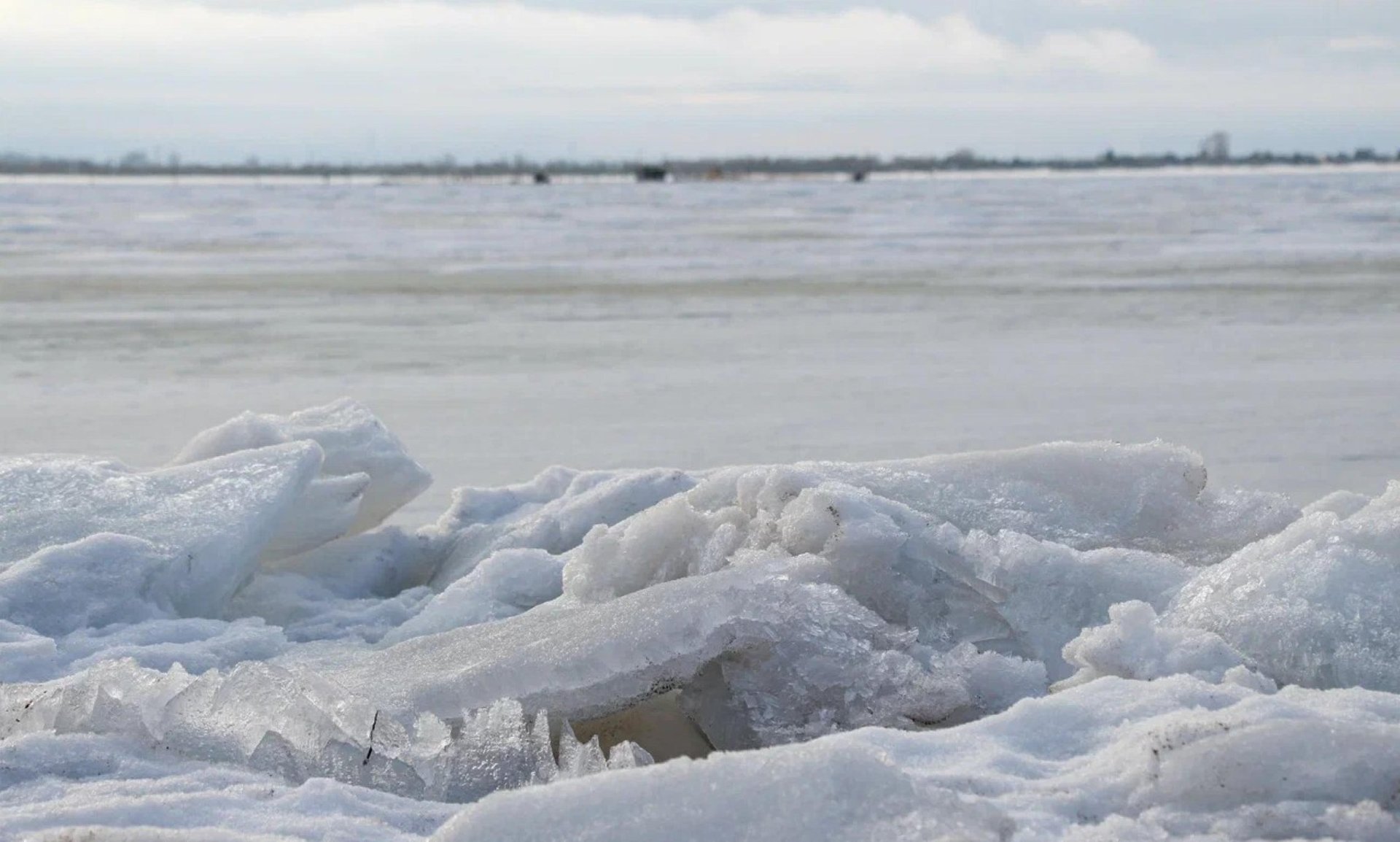 Какие новости «Региона 29» привлекли внимание читателей на уходящей неделе? Вот топ новостей: