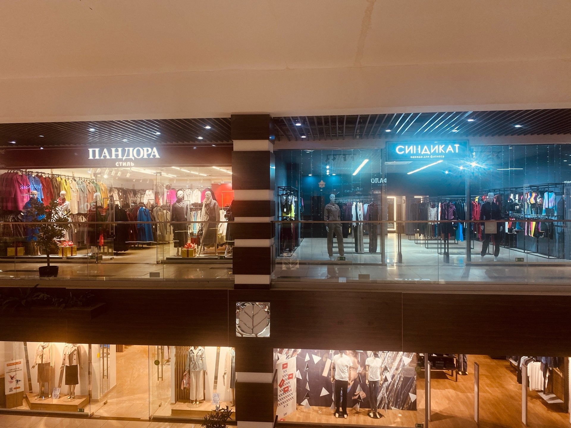 ВЦИОМ: большинство россиян против заимствований, но сами их используют